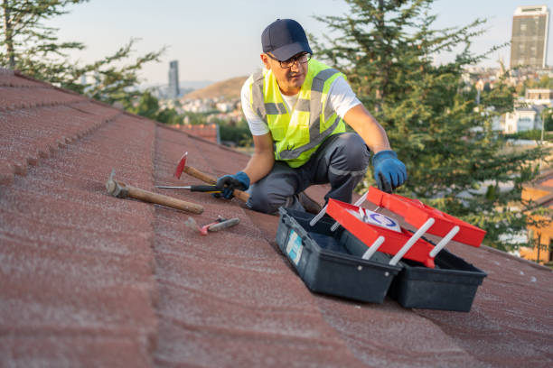 Best Carpet Removal and Disposal  in West Blocton, AL